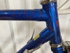 1992 Schwinn Paramount Series 3 PDG photo