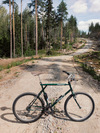 1995 GT Timberline photo