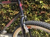 1995 Specialized Rockhopper Single Speed photo