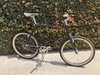 1995 Specialized Rockhopper Single Speed photo