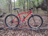 1995 specialized Stumpjumper photo