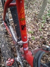 1995 specialized Stumpjumper photo