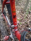 1995 specialized Stumpjumper photo