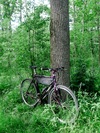 1995 Trek 750 photo