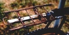 1997 CLWB Recumbent "Naboo" photo