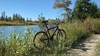 1998 Cannondale Beast of the East 900 photo