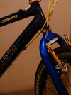1998 Cannondale Beast of the East 900 photo
