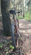 1998 Cannondale F2000 photo