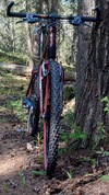 1998 Cannondale F2000 photo
