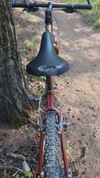 1998 Cannondale F2000 photo