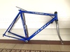 1998 Olmo Criterium photo