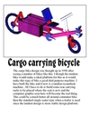 1998 Recumbent Tandem bike photo