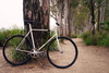 1998 Vivalo NJS photo