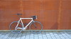 1999 PRINCIPIA rex Road Bike photo