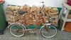 20 Elite (Rixe) folding bike [SOLD] photo