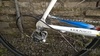 2001 Colnago Dream Lux Mapei photo