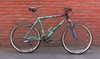 2002 Bianchi Grizzly - Team Celeste photo