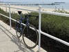 2004 Specialized Allez CrMo photo