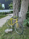 2006 Eimei NJS photo