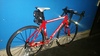 2006 SPECIALIZED ALLEZ ELITE photo