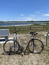 2008 Motobecane Record photo