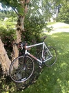 2008 Motobecane Record photo