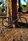 2008 Specialized Langster photo