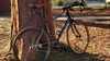 2008 Specialized Langster photo