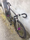 2009 Affinity Lo Pro ( midnight purple ) photo