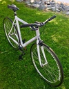 2009 Cannondale capo photo