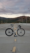 2009 Cannondale Capo "Manago" ver 2.0 photo