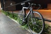 2009 Cinelli Mash photo