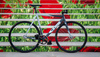 2009 Cinelli Mash photo