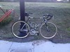 2009 Schwinn Madison photo