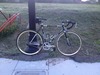 2009 Schwinn Madison photo