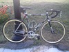 2009 Schwinn Madison photo