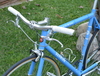 2009 Schwinn Madison photo