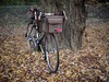 2010 Raleigh Clubman photo