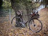 2010 Raleigh Clubman photo