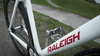 2010 Raleigh Rush Hour Pro photo