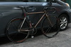 2010 SE Lager photo
