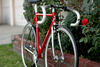 2010 Specialized Langster Steel photo