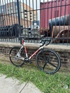 2011 Bianchi Pista photo