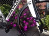 2011 Cannondale CAAD10 photo