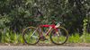 2011 Cannondale CAAD10-5 photo