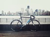 Cinelli Mash Histogram photo