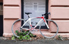 2011 colnago clx 2.0 photo