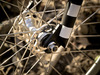 2011 Destroy Bicycles "Loser" 29er FGFS photo