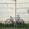 2011 Pias Agra photo