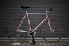 2011 Samson NJS (White / Sakura Fade) photo